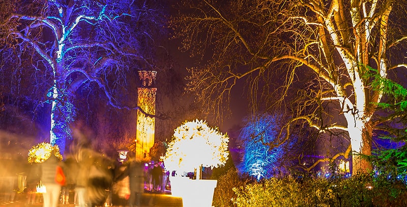 Christmas lights in a London park