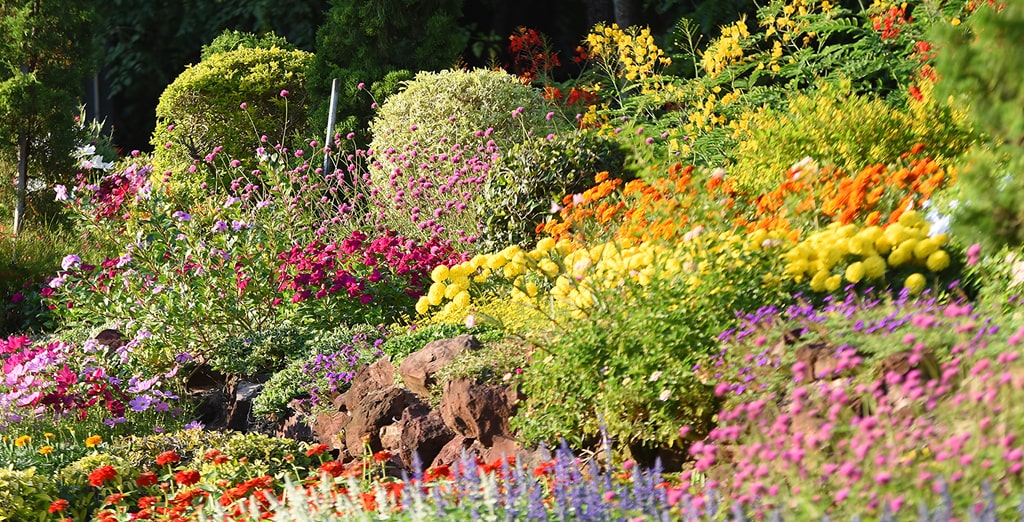Flower Show in Chelsea 2025