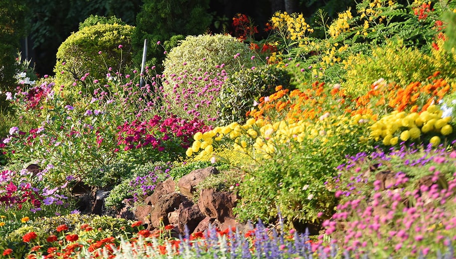 Flower Show in Chelsea 2025